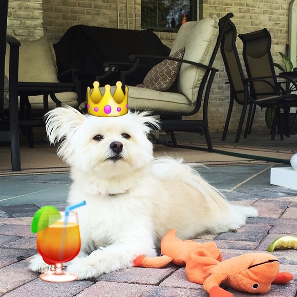 Meet Your Posher, Marina - Picture 7 of 8